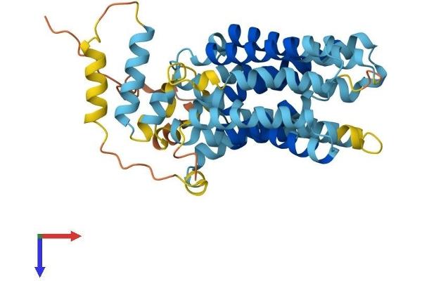 SLC22A17 Protein (AA 1-401) (His tag)