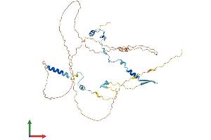 Protein Structure (PS) image for G Patch Domain Containing 4 (GPATCH4) (AA 1-446) protein (His tag) (ABIN7548162)