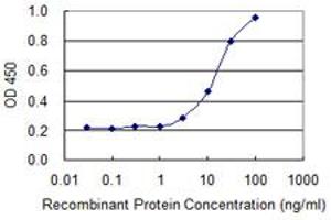 Detection limit for recombinant GST tagged POLR2A is 1 ng/ml as a capture antibody. (POLR2A/RPB1 Antikörper  (AA 1-110))