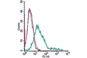 Flow Cytometry (FACS) image for anti-5-Hydroxytryptamine (serotonin) Receptor 7 (Adenylate Cyclase-Coupled) (HTR7) (AA 73-84), (Extracellular) antibody (ABIN7042876)