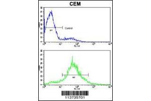 Flow Cytometry (FACS) image for anti-Cadherin 10, Type 2 (T2-Cadherin) (CDH10) (AA 25-55), (N-Term) antibody (ABIN5535227)