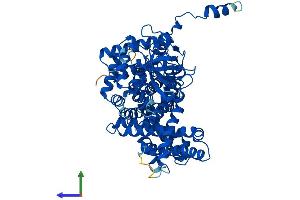 Protein Structure (PS) image for Acyl-CoA Oxidase 2, Branched Chain (Acox2) (AA 1-681) protein (His tag) (ABIN7551830)