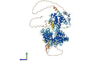 AlphaFold protein structure predicition of Human Recombinant GTF2IRD2B Protein, UniprotID Q6EKJ0
