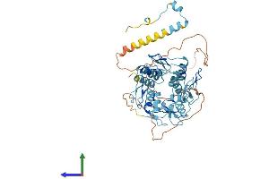 AlphaFold protein structure predicition of Human Recombinant ZNF563 Protein, UniprotID Q8TA94