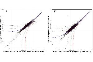 Image no. 2 for anti-Achaete-Scute Complex Homolog 2 (ASCL2) (C-Term) antibody (ABIN7449050)