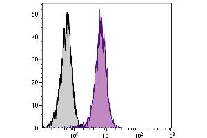 BALB/c mouse splenocytes were stained with Rat Anti-Mouse CD2-FITC. (CD2 Antikörper  (FITC))