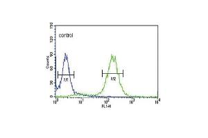 PCSK9 Antibody (C-term) (ABIN391505 and ABIN2841468) flow cytometric analysis of Hela cells (right histogram) compared to a negative control cell (left histogram).