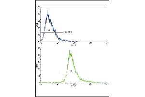 Flow Cytometry (FACS) image for anti-Brain-Derived Neurotrophic Factor (BDNF) (AA 206-236), (C-Term) antibody (ABIN392515)