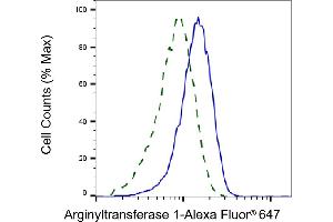 Validation of Arginyltransferase 1 knockdown using flow cytometry. (Rekombinanter ATE1 Antikörper)
