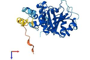 GTPBP8 Protein (AA 1-284) (His tag)