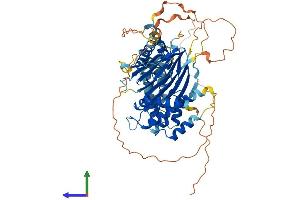 AlphaFold protein structure predicition of Mouse Recombinant Pp2d1 Protein, UniprotID Q8BVT6