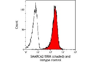 Flow Cytometry (FACS) image for anti-SWI/SNF Related, Matrix Associated, Actin Dependent Regulator of Chromatin, Subfamily A, Member 2 (SMARCA2) (AA 1325-1375) antibody (ABIN7795708)