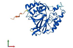 Protein Structure (PS) image for metallophosphoesterase Domain Containing 2 (MPPED2) (AA 1-294) protein (His tag) (ABIN7549556)