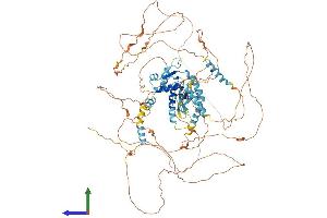 Protein Structure (PS) image for E2F Transcription Factor 8 (E2F8) (AA 1-860) protein (His tag) (ABIN7563796)