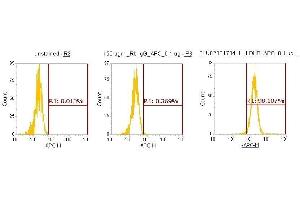Flow Cytometry (FACS) image for anti-Lactate Dehydrogenase B (LDHB) (AA 1-334) antibody (APC) (ABIN5565783) (LDHB Antikörper  (AA 1-334) (APC))