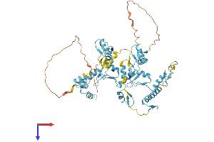 REPIN1 Protein (AA 1-545) (His tag)