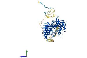 Protein Structure (PS) image for Eukaryotic Translation Initiation Factor 3, Subunit D (EIF3D) (AA 1-548) protein (His tag) (ABIN7553778)
