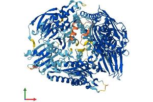Protein Structure (PS) image for 5-Oxoprolinase (ATP-Hydrolysing) (OPLAH) (AA 1-1288) protein (His tag) (ABIN7554820)
