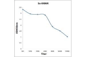 ELISA image for anti-Fibronectin Type III Domain Containing 5 (FNDC5) (AA 81-143) antibody (ABIN1387505)