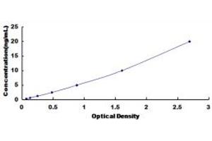 Typical standard curve (JunB ELISA Kit)