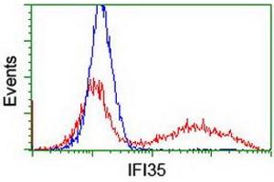 HEK293T cells transfected with either RC200929 overexpress plasmid (Red) or empty vector control plasmid (Blue) were immunostained by anti-IFI35 antibody (ABIN2454906), and then analyzed by flow cytometry. (IFI35 Antikörper)