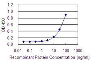 Detection limit for recombinant GST tagged LRRN2 is 1 ng/ml as a capture antibody. (LRRN2 Antikörper  (AA 532-630))