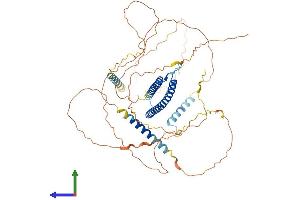 Protein Structure (PS) image for Transcription Factor E3 (TFE3) (AA 1-575) protein (His tag) (ABIN7555780)