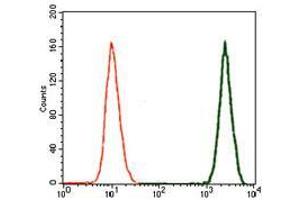 Flow Cytometry (FACS) image for anti-Doublecortin (DCX) (AA 362-411) antibody (ABIN969513)