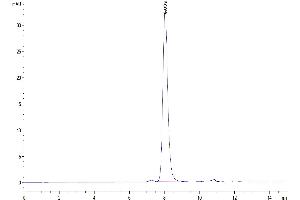 The purity of Human SIRP Beta 1 isoform 3 is greater than 95 % as determined by SEC-HPLC. (SIRPB1 Protein (AA 30-371, Isoform 3) (His-Avi Tag))