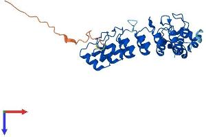 ASB9 Protein (AA 1-290) (His tag)
