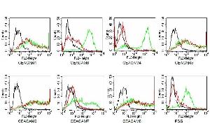 Specificity testing of TET2. (CEACAM 1,5,6,8 Antikörper)