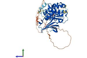 Protein Structure (PS) image for MOK Protein Kinase (MOK) (AA 1-419) protein (His tag) (ABIN7549473)