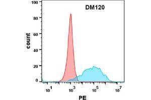 Flow cytometry analysis with Anti-CEACAM5 (DM120) on Expi293 cells transfected with human CEACAM5 (Blue histogram) or Expi293 transfected with irrelevant protein (Red histogram). (CEACAM5 Antikörper  (AA 35-685))