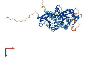 PCYT2 Protein (AA 1-404) (His tag)