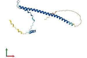 Protein Structure (PS) image for Prkr Interacting Protein 1 (IL11 Inducible) (PRKRIP1) (AA 1-186) protein (His tag) (ABIN7560690)