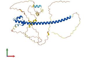 Protein Structure (PS) image for Transcription Factor MafA (MAFA) (AA 1-359) protein (His tag) (ABIN7559297)