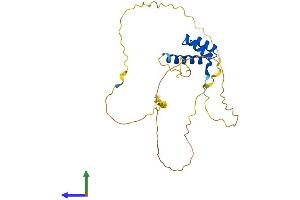 Protein Structure (PS) image for Mesenchyme Homeobox 1 (MEOX1) (AA 1-253) protein (His tag) (ABIN7563135)