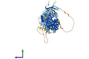 Protein Structure (PS) image for Oculocerebrorenal Syndrome of Lowe (OCRL) (AA 1-900) protein (His tag) (ABIN7564056)