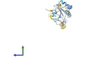 AlphaFold protein structure predicition of Mouse Recombinant Nxnl1 Protein, UniprotID Q8VC33