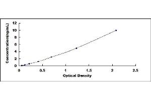 Typical standard curve (KLF4 ELISA Kit)