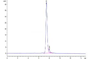 Size-exclusion chromatography-High Pressure Liquid Chromatography (SEC-HPLC) image for Tumor Necrosis Factor Receptor Superfamily, Member 11a, NFKB Activator (TNFRSF11A) (AA 31-214) protein (Fc Tag) (ABIN7275522)