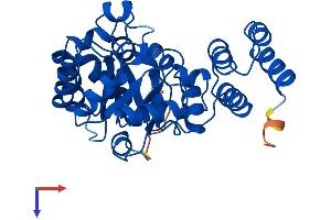 DUS4L Protein (AA 1-324) (His tag)