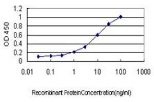 Detection limit for recombinant GST tagged PML is approximately 0. (PML Antikörper  (AA 411-510))