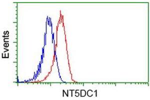 Image no. 3 for anti-5'-Nucleotidase Domain Containing 1 (NT5DC1) antibody (ABIN1499833) (NT5DC1 Antikörper)