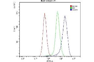 Flow Cytometry analysis of mouse spleen tissues using anti-Caspase-9 p35/Casp9 antibody (ABIN7601182). (Caspase 9 Antikörper  (AA 3-266))