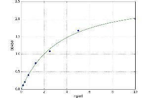 A typical standard curve (LIPF ELISA Kit)