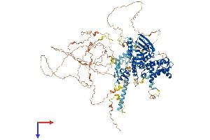 STARD13 Protein (AA 1-1113) (His tag)