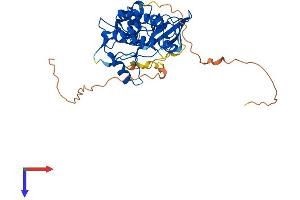 TRIB3 Protein (AA 1-358) (His tag)