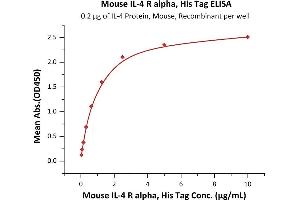 Immobilized IL-4 Protein, Mouse, Recombinant at 2 μg/mL (100 μL/well) can bind Mouse IL-4 R alpha, His Tag (ABIN2870747,ABIN2870748) with a linear range of 0. (IL4 Receptor Protein (AA 26-233) (His tag))