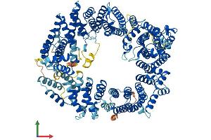 AlphaFold protein structure predicition of Human Recombinant XPO4 Protein, UniprotID Q9C0E2